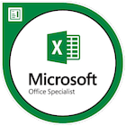MOS Excel Associate Office 2019